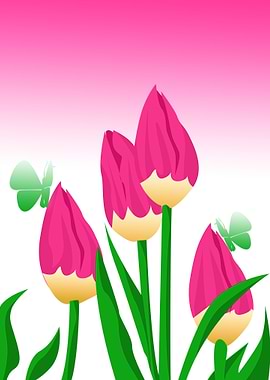 Pink Tulips Flower