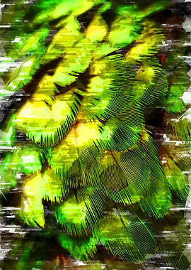 Green Feathers Abstract 4