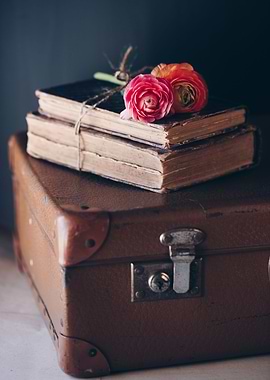 Vintage books and suitcase