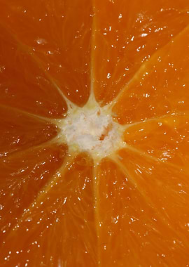 Orange fruit macro prints