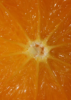 Orange fruit macro prints