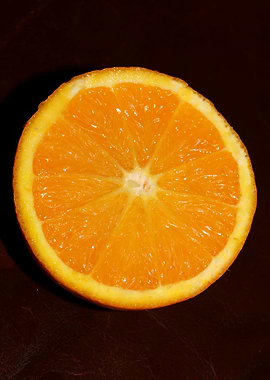 Cutted orange macro prints