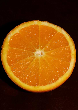 Cutted orange macro prints