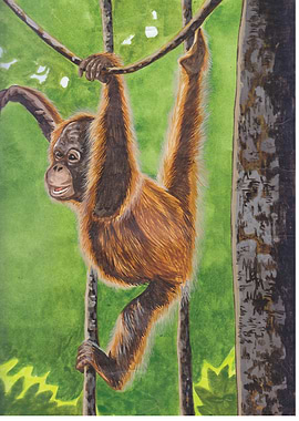 Hanging Orangutan