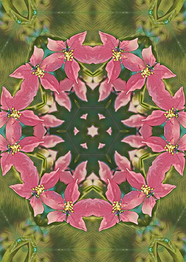Abstract Flower themes