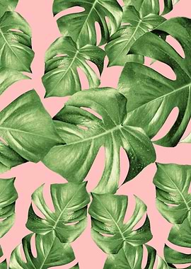 Monstera Leaves Blush 1