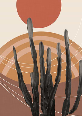 Cactus in the Desert 1