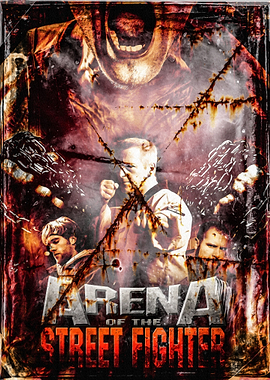 Arena Of The Street Fighte