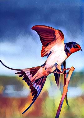 A Painted Swallow Bird