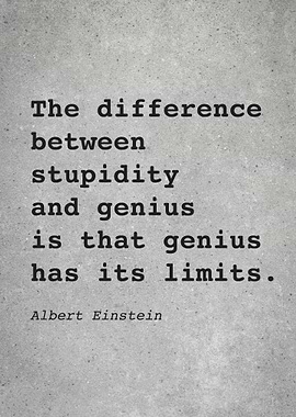 Albert Einstein Quote L002