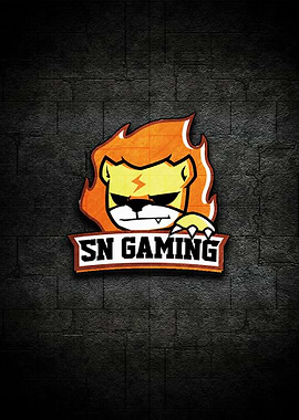 Suning Gaming