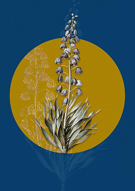 Vintage Persian Lily Flora