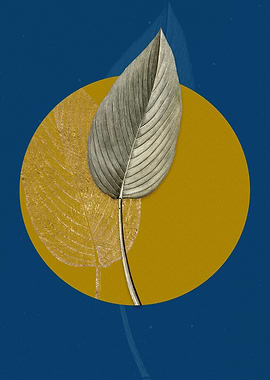 Powdery Alligator Flag