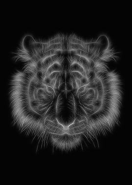 Tiger Black White