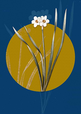 Vintage Primrose Peerless