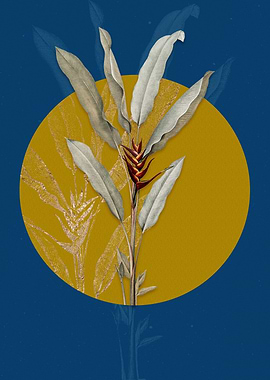 Vintage Parrot Heliconia