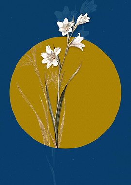 Vintage Painted Lady Flora