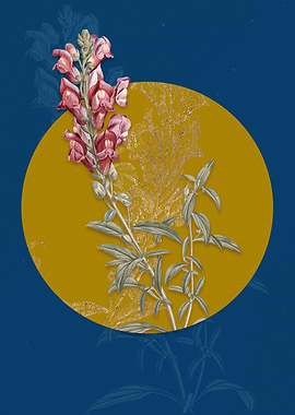 Vintage Red Dragon Flowers