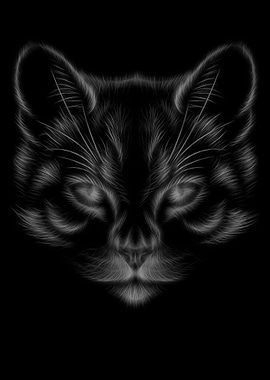 Cat Black White