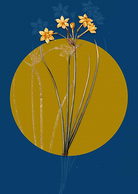 Vintage Rush Daffodil Blue