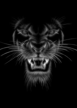Tiger Black White