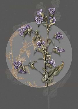 Vintage Commelina Tuberosa