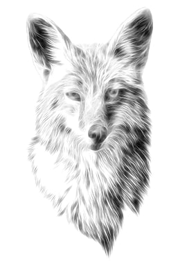 Fox Black White