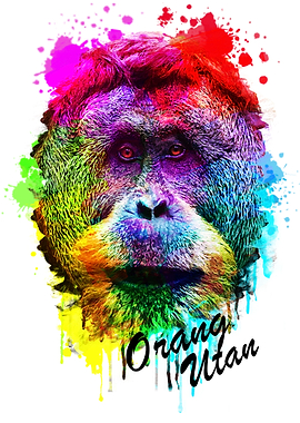 Orang Utan Water Splash