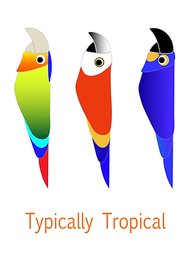 Tropical Birds