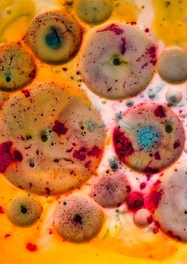 Milk and Oil Collide