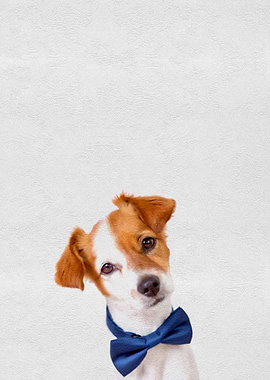 Cute Pet Puppy Dog Bow Tie