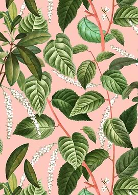 How Lovely Is the Silence