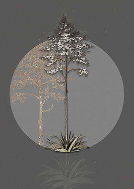 Vintage Giant Cabuya