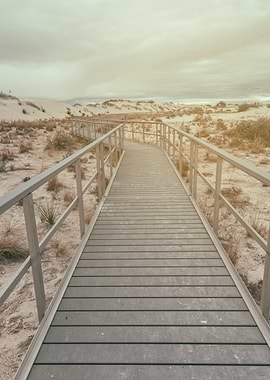 Interdune Boardwalk