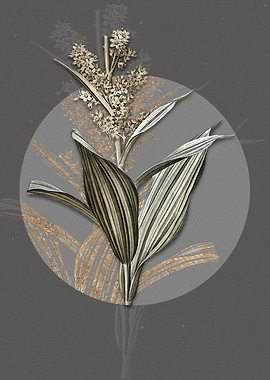 Vintage False Helleborine