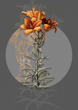 Vintage Fire Lily Flowers