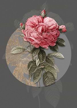 Vintage Giant French Rose