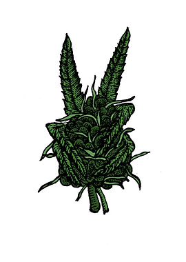 cannabis peace Art