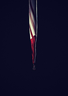 Black Christmas Cary Elwes