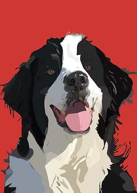 Labernese Dog Illustration