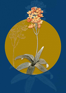 Vintage Sun Star Flower