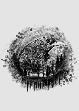 The crow from nowhere