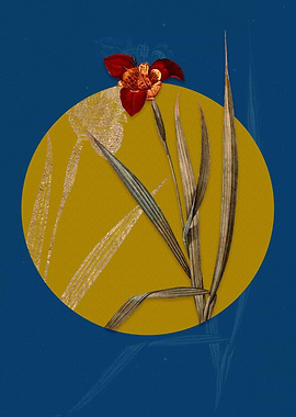 Vintage Tiger Flower