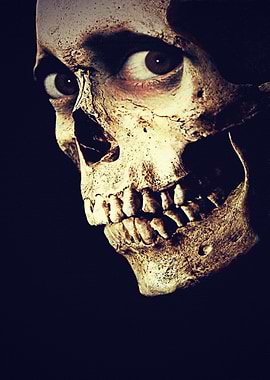 Evil Dead Jane Levy Shiloh