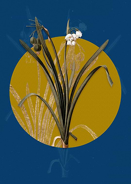 Vintage Summer Snowflake