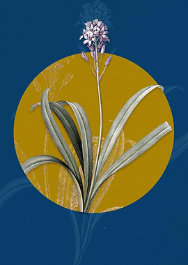 Vintage Spanish Bluebell