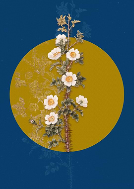 Vintage Scotch Rose Bloom