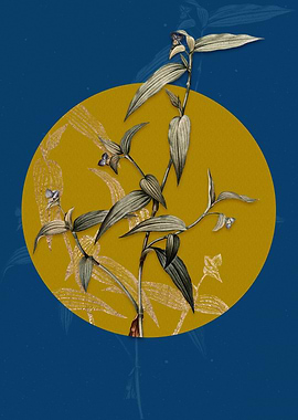 Vintage Tagblume Flower