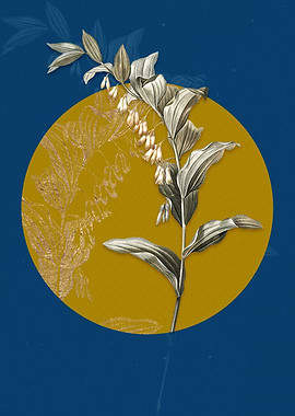 Vintage Solomons Seal