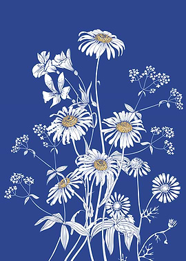 Blue Daisies